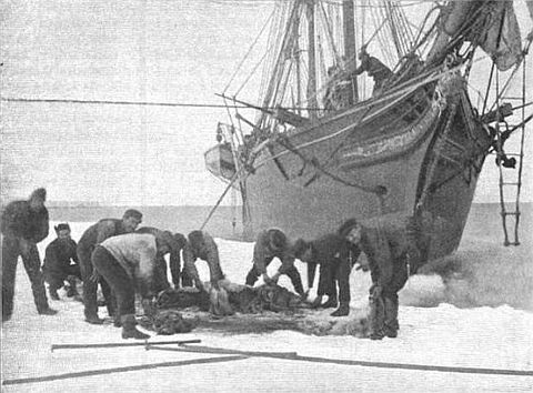 Photo of hunters on arctic ice